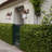 Koerich Wall Light
