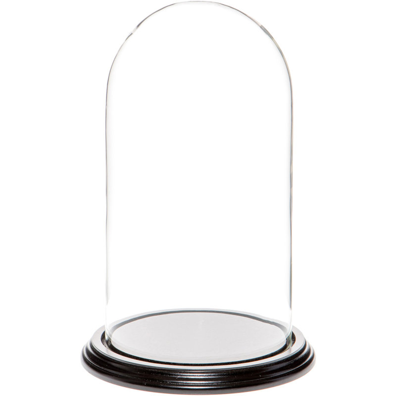 Cloche à dôme en verre 5,5 "x 10" Jenett, Base en placage de bois noir