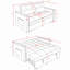 Modern 2-Seater Sofa, 54" Pull-Out Sleeper Sofa Bed For Living Room-1649177922