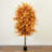 10ft. Autumn Ficus Artificial Fall Tree-271910621-271910620