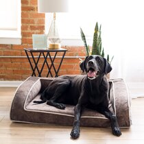 Wayfair  La-Z-Boy Dog Beds You'll Love in 2023