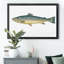 «Small Small Antique Fish V», reproduction d'art graphique sur toile-2078499884-2078499885