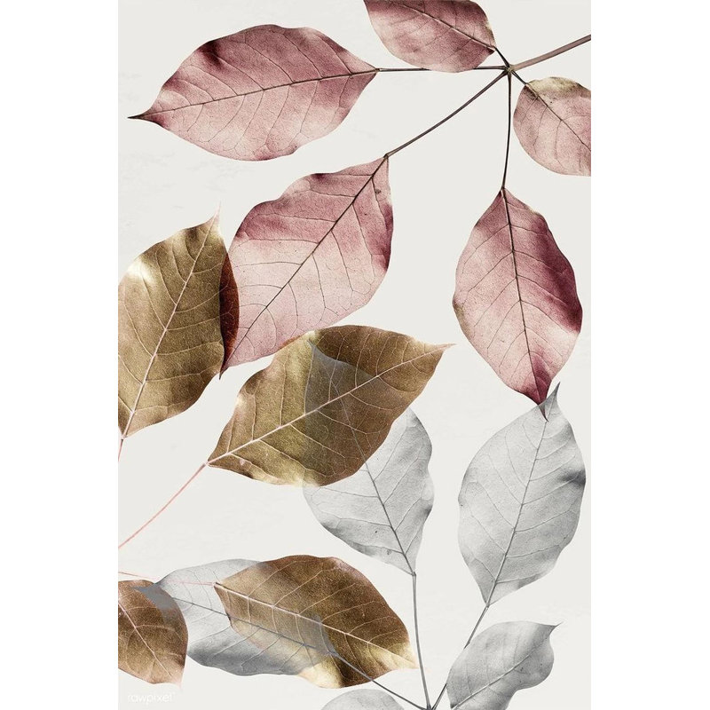 Premium Woven Area Rug, 100% Polyester, 4.6 x 7.2 ft | Antibacterial, Non-Slip PVC Dot Underside | 3D Digital Printing, Machine Washable, Pile Height: 0.3 in | Ideal for Living Room, Bedroom, and Dining Spaces