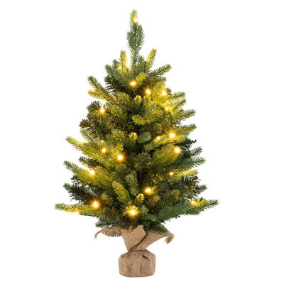 24' Lighted Pine Christmas Tree