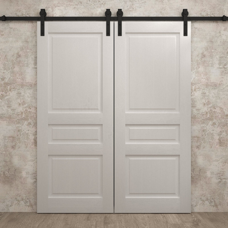 Porte de grange double moderne | Ego 5012 | Ensemble de rail | Portes intérieures solides, Chêne blanc peint, 56 po x 84 po