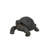 Tortoise Statue