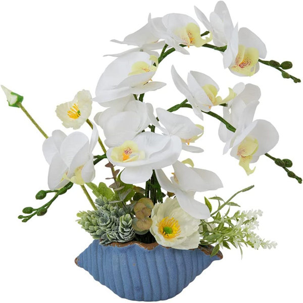 Primrue Orchid Arrangement | Wayfair