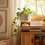 Pot à fleurs en céramique avec support en bois St. Charles - Pot décoratif moderne pour plantes d'intérieur-1267760326-1267760321