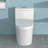 One Piece Ceramic Toilet For Bathroom, Dual Flush, 12-Inch Rough-In, Water Efficient (1.24/1.43 GPF) With Soft Closing Seat