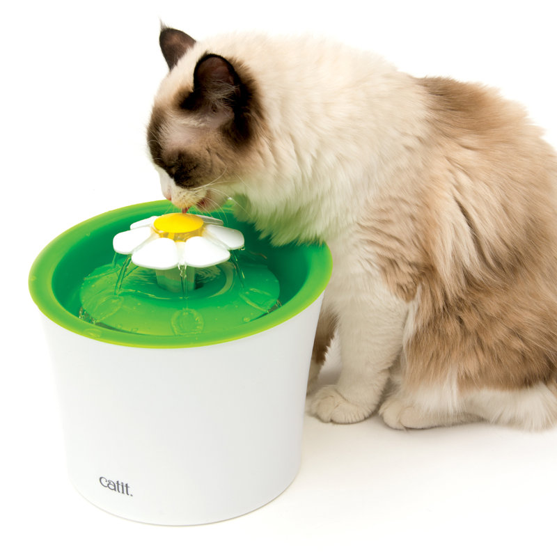 Anti-Skid Pet Fountain