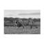 Art sur toile Alessandro Catta-1231306446