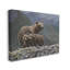 «Stupell Industries Bear Family», art de la giclée par Clinton Jammer-91340561-91340563