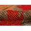 Scandinavian One-of-a-Kind Rectangle 3' X 4'7" Area Rug