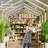 Polycarbonate Greenhouse, Winter Greenhouses For Outdoors,Outdoor Greenhouse With Roof Air Vent, Heavy Duty Walk-In Aluminum Green House For Outside Garden Backyard-120880097-120880100