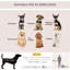 Edith Collapsible Pet Carrier with 1 Door