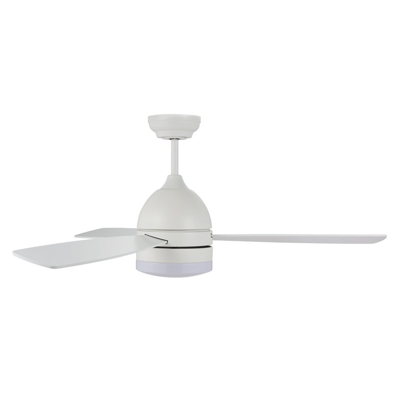 Breeauna 122Cm Ceiling Fan With Led Lights