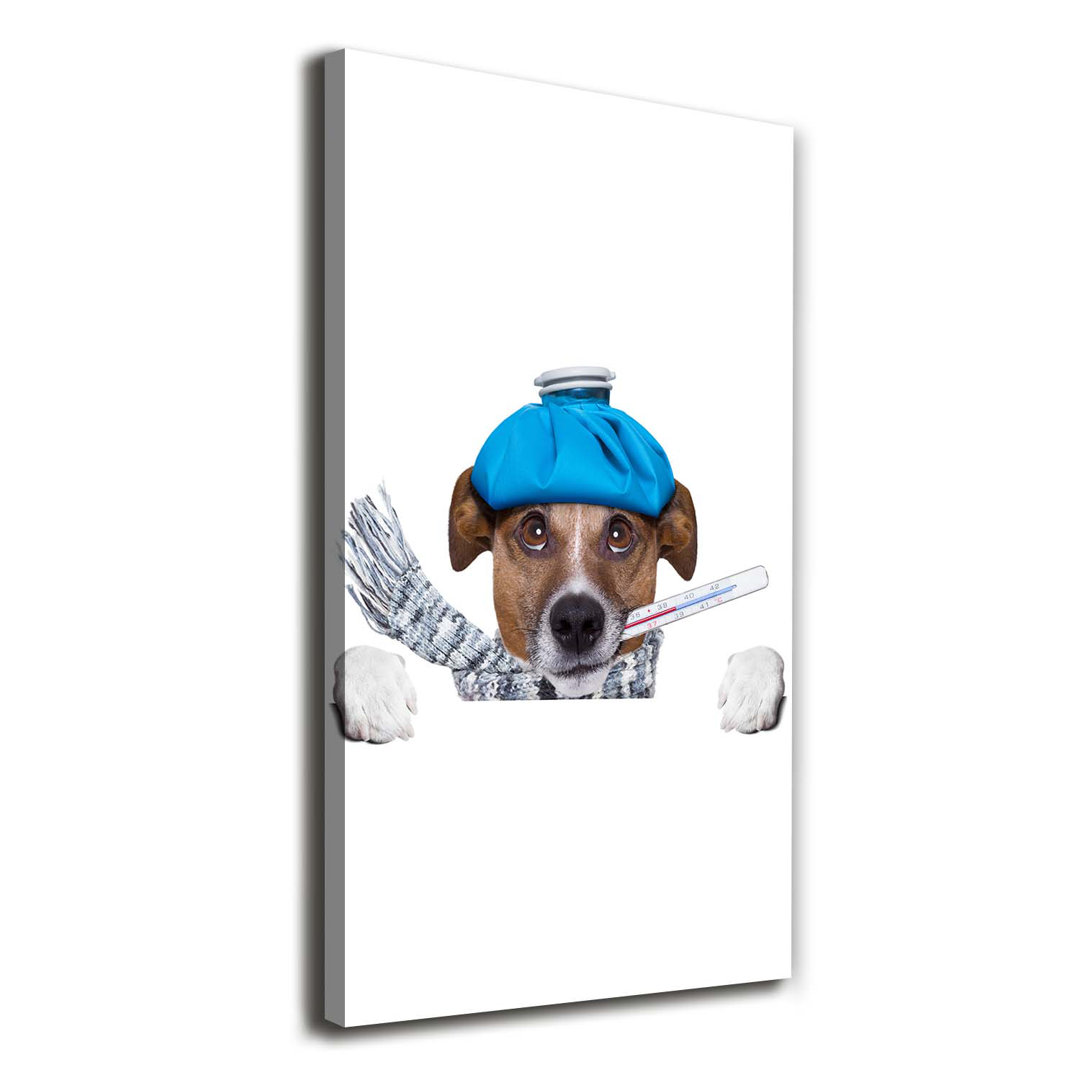 Kranker Hund - Kunstdrucke auf Leinwand - Wrapped Canvas