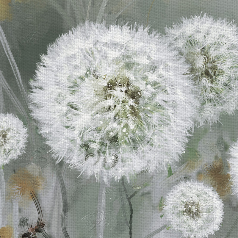 «Wild Wishes», reproduction d'art sur toile sans cadre, H 22 po x l 28 po x P 1,5 po