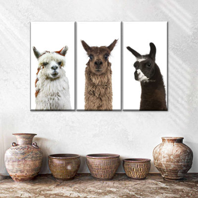" Alpaca Three Colors Multi Piece Canvas Print " 3 - Pieces