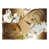 Light Brown White sélectionné