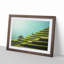 Rice Plantation in Cambodia - Picture Frame Painting Print-55598984-55598982