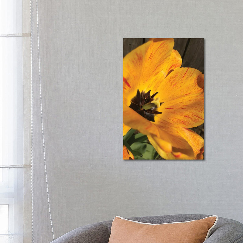 Full Sun II by Heidi Bannon - Wrapped Canvas Print
