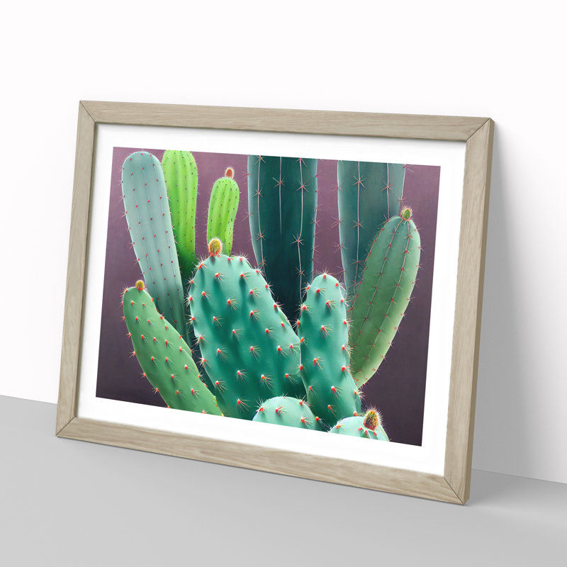 XH1022-10305X Wonderful Cactus 1 Piece Single Picture Frame Wall Art, 25cm H x 34cm W x 2cm D, Oak Framed