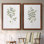 Eucalyptus I - Toile encadrée de qualité supérieure - prête à être accrochée