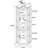 Corner Curio Cabinet-1802668237