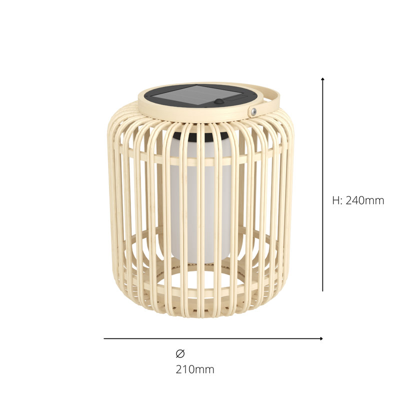Ellasyn Stainless Steel Novelty Lamp