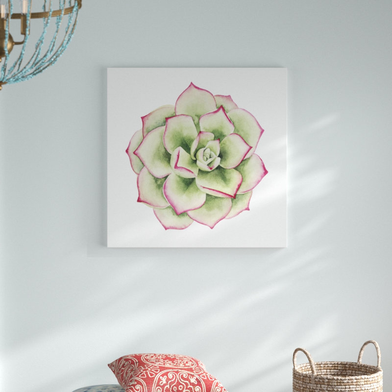 Tropical Plant IV by Grace Popp - Wrapped Canvas Painting, 76cm H x 76cm W