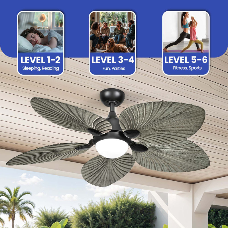 Atalay 52'' Ceiling Fan with LED Lights
