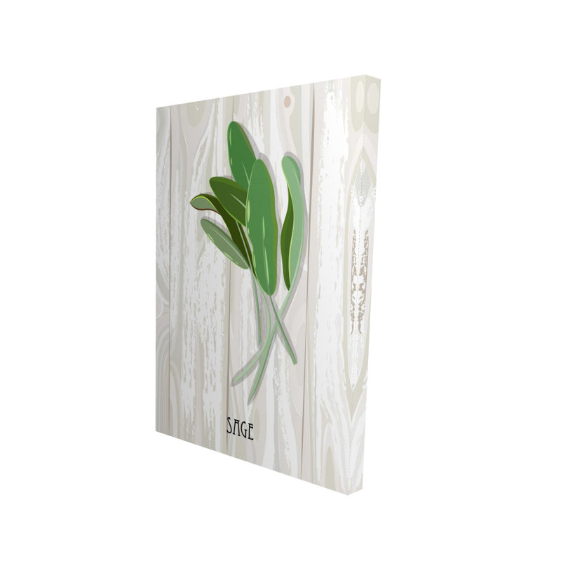 Sauge sur toile de bois | Décoration de cuisine grise | Art gastronomique