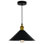 1 Light 10'' Industrial Down Mini Pendant for Kitchen, Dining Room, Living Room – E26 Bulb Base, LED Compatible – Adjustable Height with BACL Certification