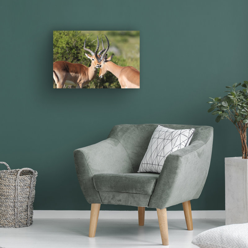 Art sur toile, Bob Bob Langrish Impala, H 12 po x l 19 po