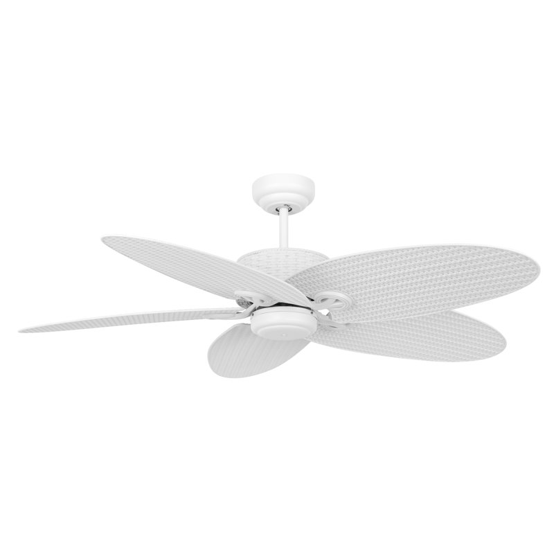 132cm Roelke 5 - Blade Ceiling Fan with Wall Control, White