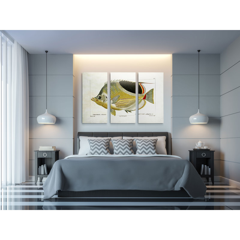 Croquis de poisson I - Impression sur toile, H 24 po x l 36 po x P 1,5 po