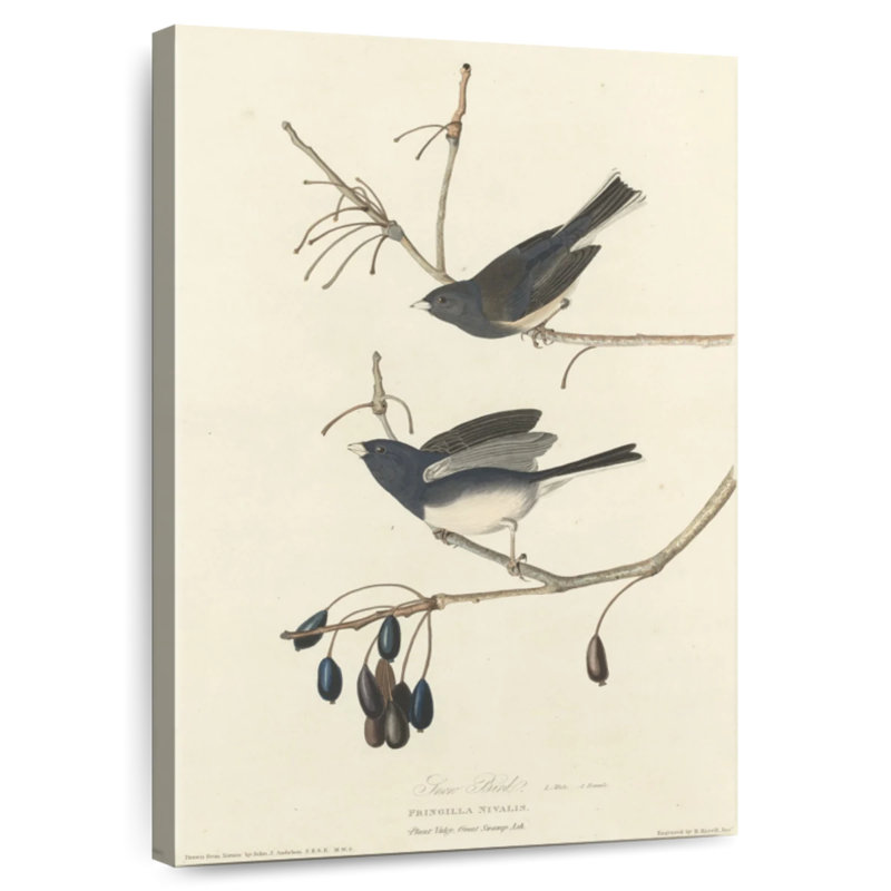 Keiri Snow Bird, 45" H x 30" W