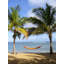 Barbados Double Hammock-36120861