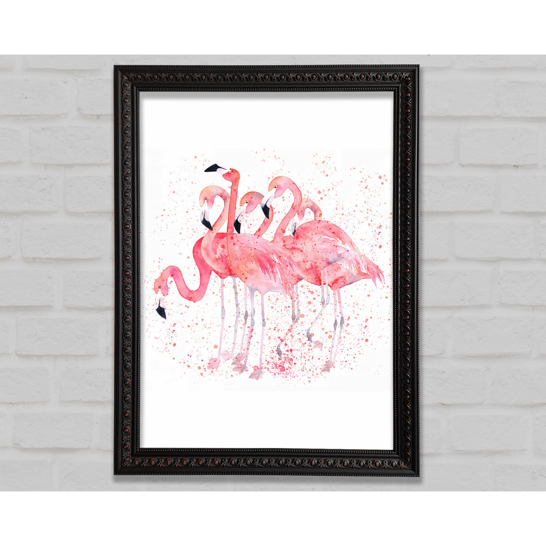 Rosa Flamingo Splash - Druck