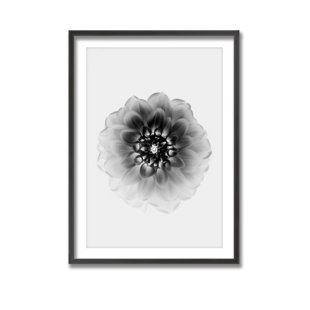 " X-Ray By Alex Zhao "