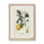 Oak Framed Paper is unavailable