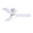 32'' Small Ceiling Fan With Light Kit & Remote-740172514-740172516