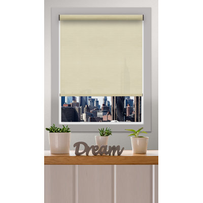 Motorized Room Darkening Roller Shade