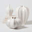Star Fruit Vase-64402280