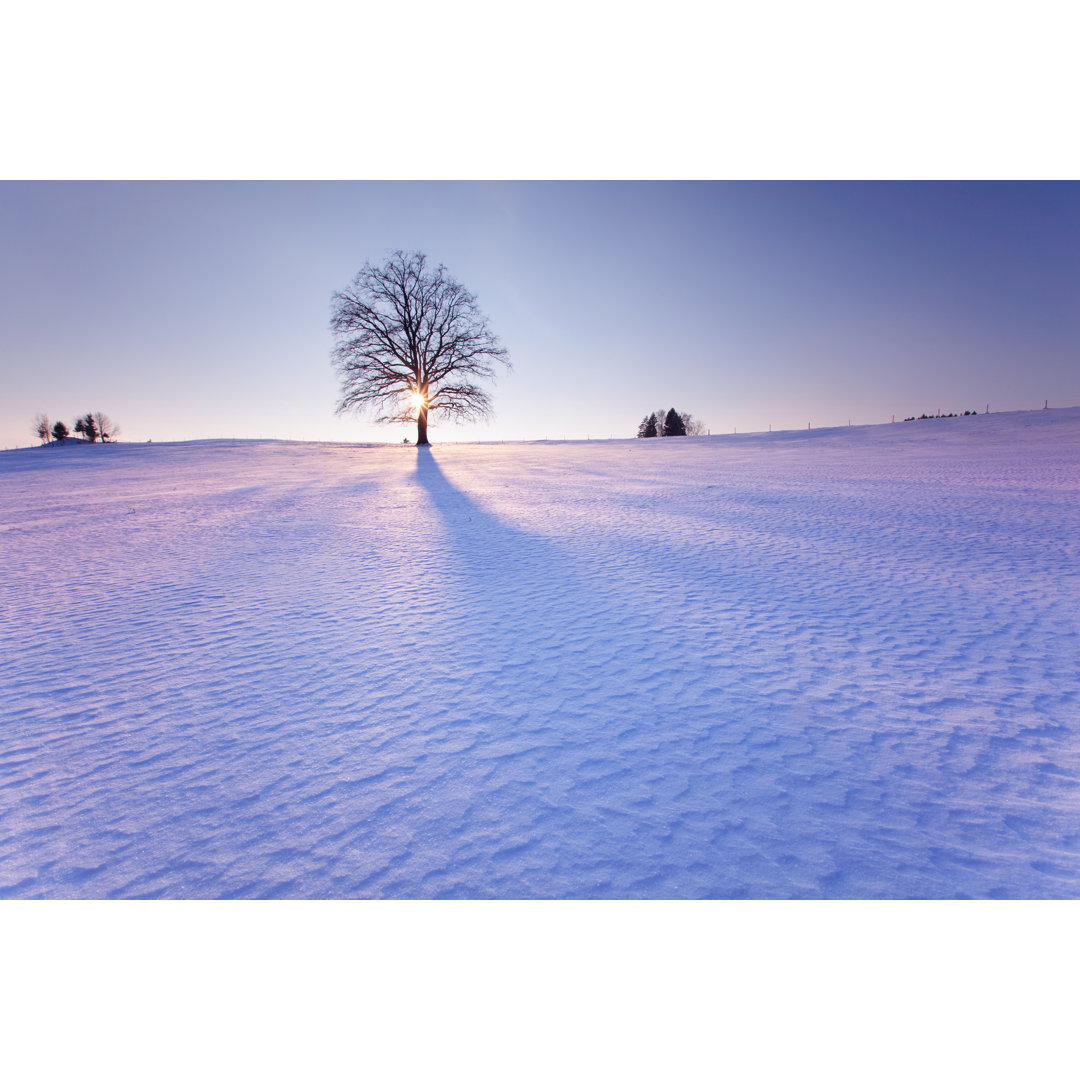 Einsamer Baum in Winterlandschaft von Wingmar - Druck ohne Rahmen auf Leinwand