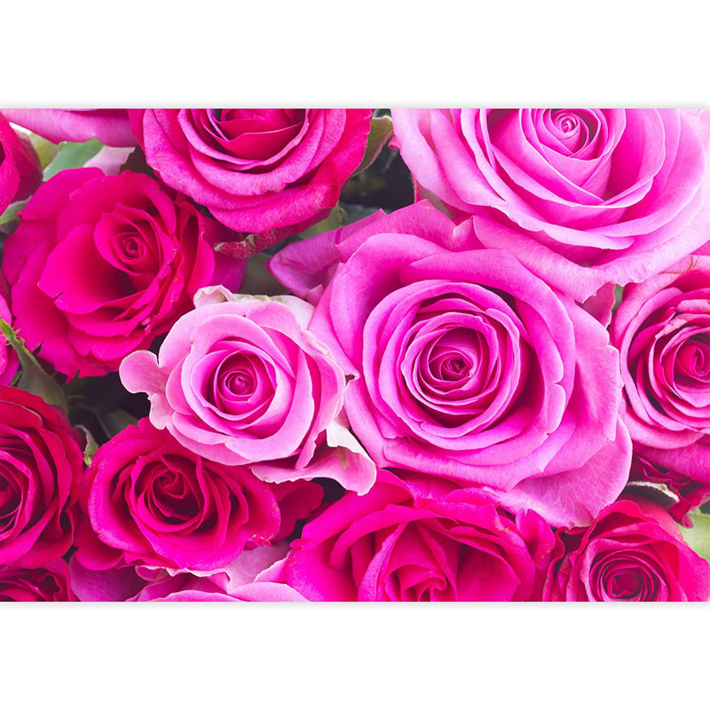 Élégante fleur rose M12, L 66 po x l 96 po
