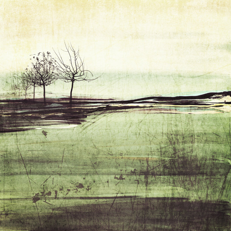 Forest Glimpse III, H 36 po x l 36 po x P 1,25 po