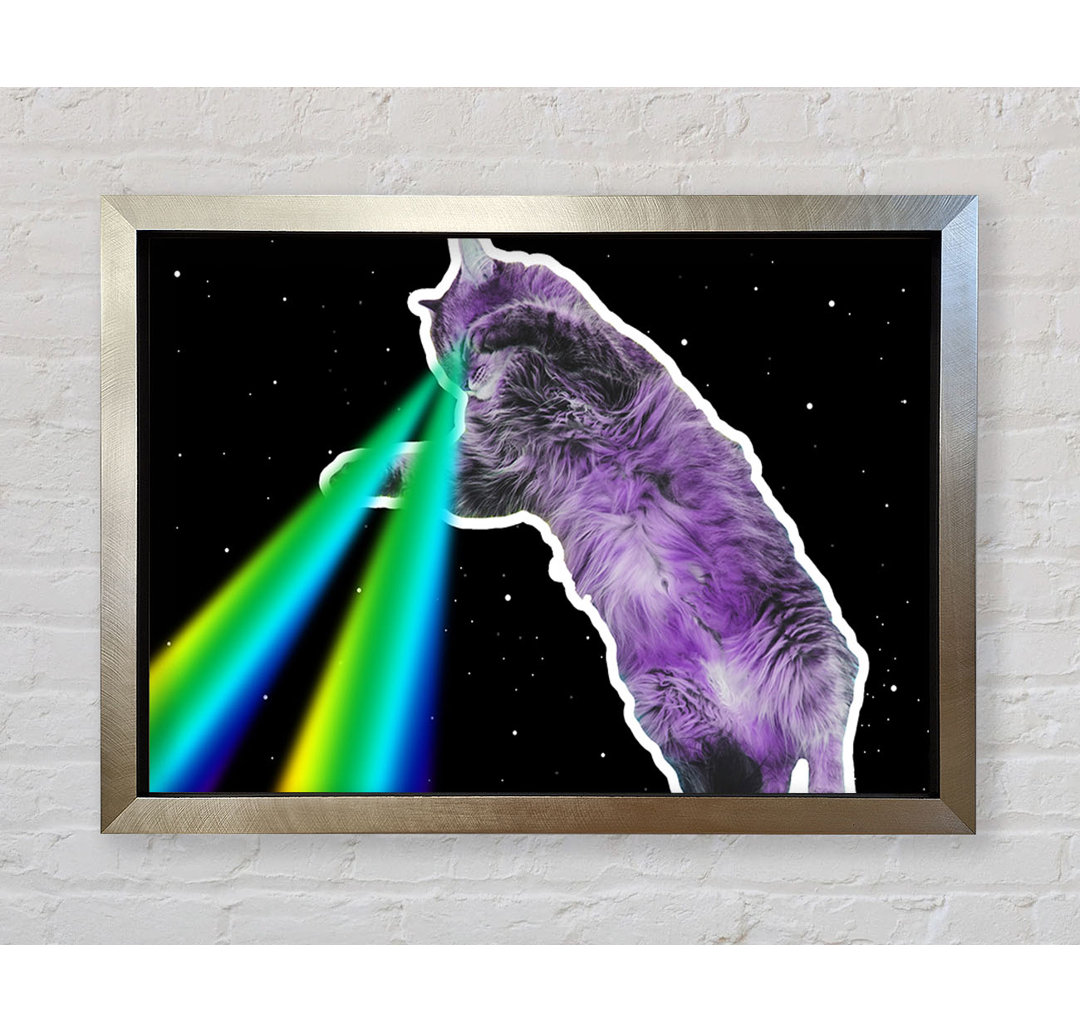 Katze Lazer Beam Space Gerahmter Druck