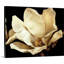 «Buttercream Magnolia I», art mural sur toile-809893009-809893010